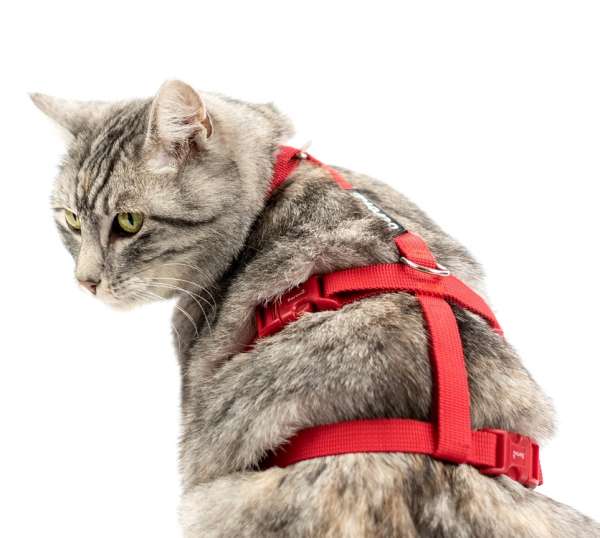 Top harnais anti-fugue pour chats Safety Harness Classic rouge
