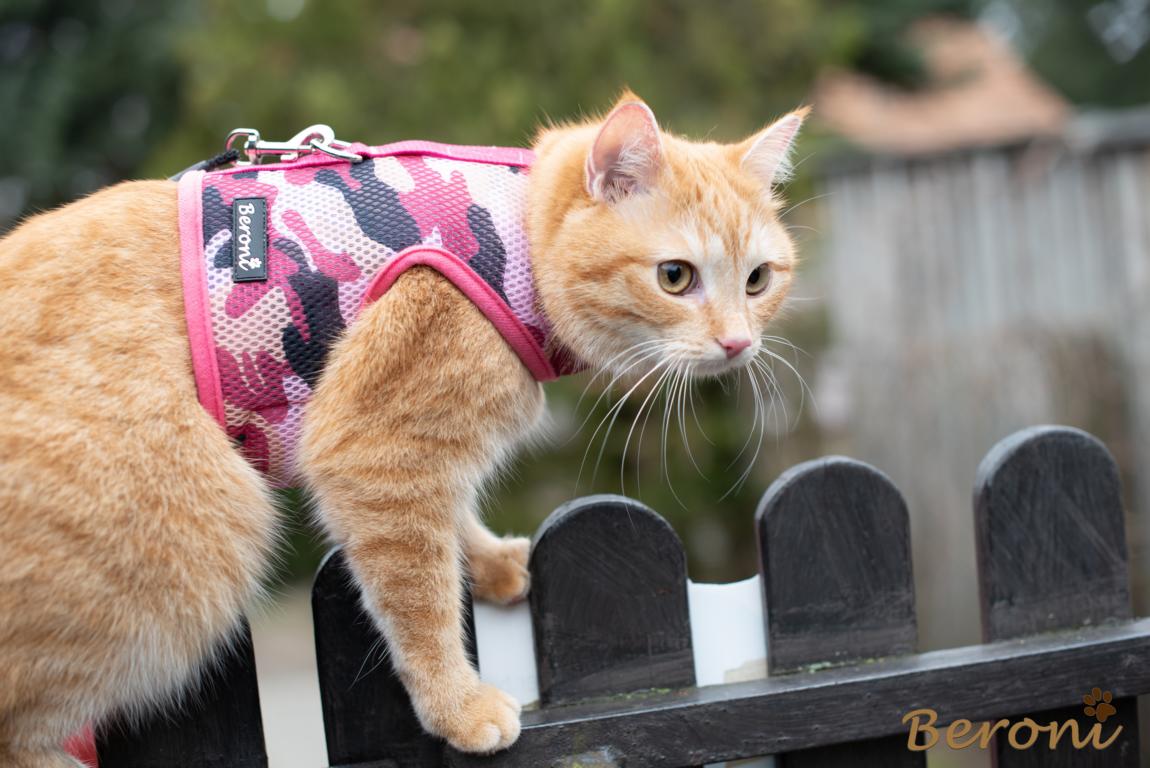 Harnais pour chat en coton rose
