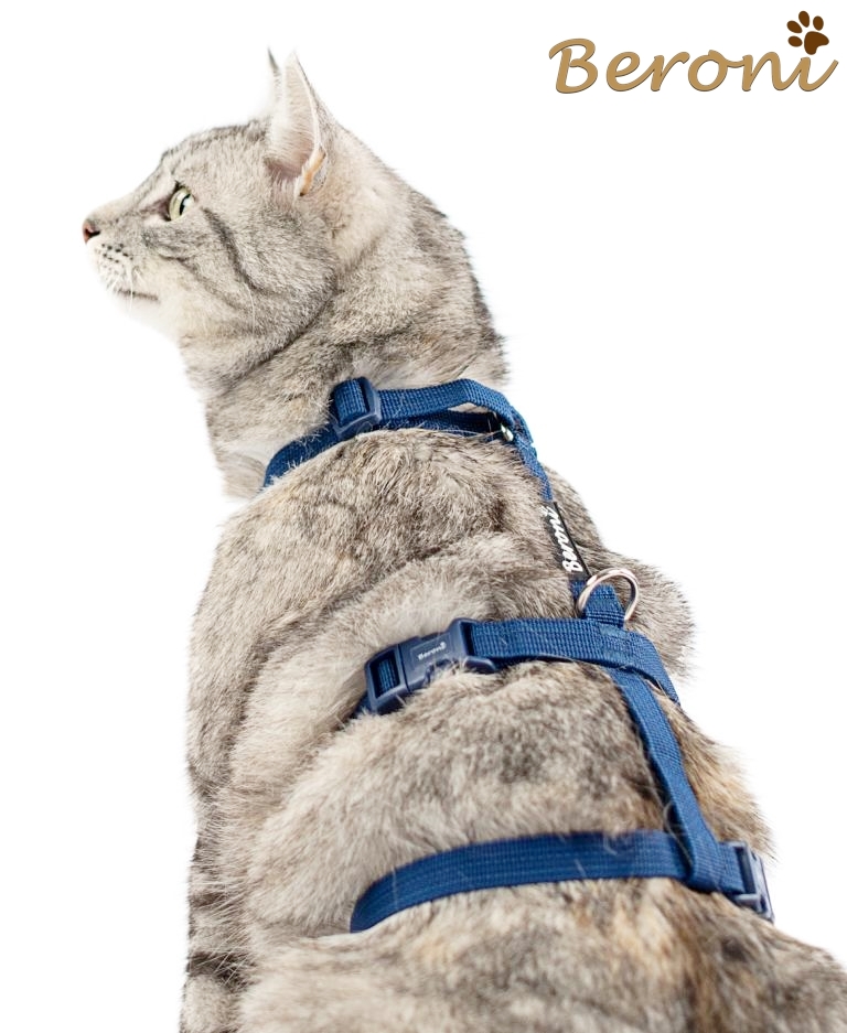 Harnais et laisse pour chat, ceinture de ceinture de sécurité lumineuse anti-évasion  Cat Vest, sangles de poitrine de chat réfléchissantes réglables avec boucle  anti-évasion, Cat Outdoor